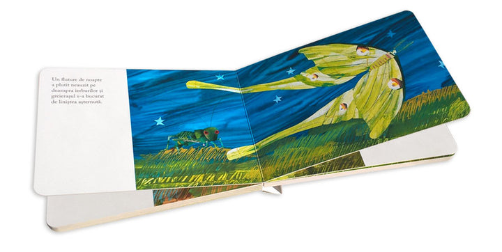 Libro El Grillo Silencioso De Eric Carle Niños