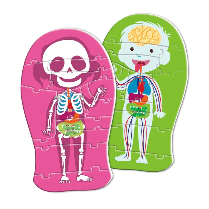 Juego Rompecabezas Del Cuerpo Humano Niños