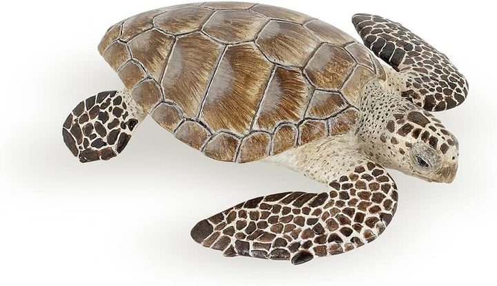 Figura Tortuga De Mar Pintada A Mano  Niños Adultos