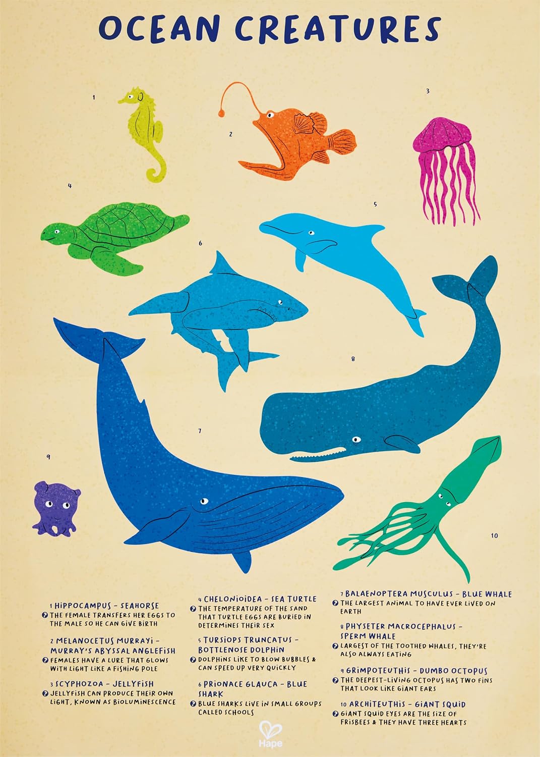 Rompecabezas Ballena Brillante 200 Piezas Para Niños