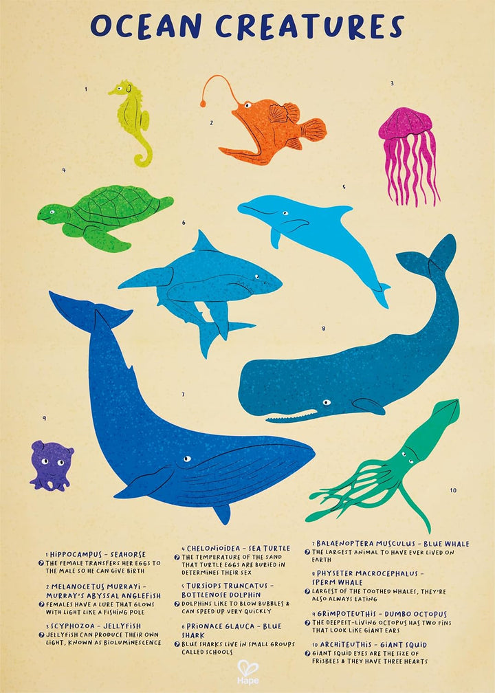 Rompecabezas Ballena Brillante 200 Piezas Para Niños