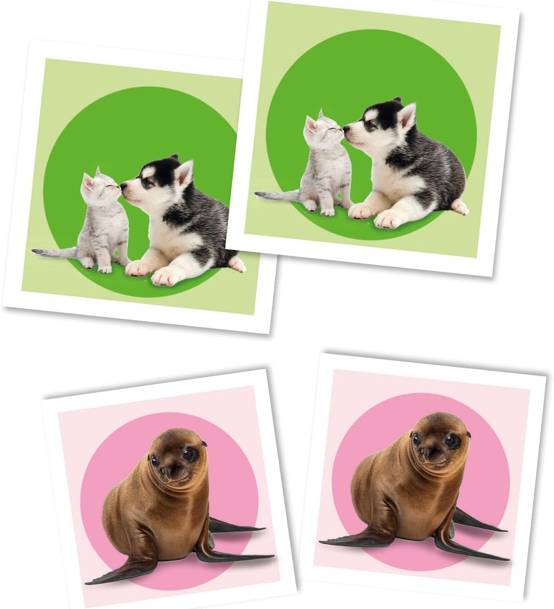 Juego Memoria Animales 48 Cartas Para Niños