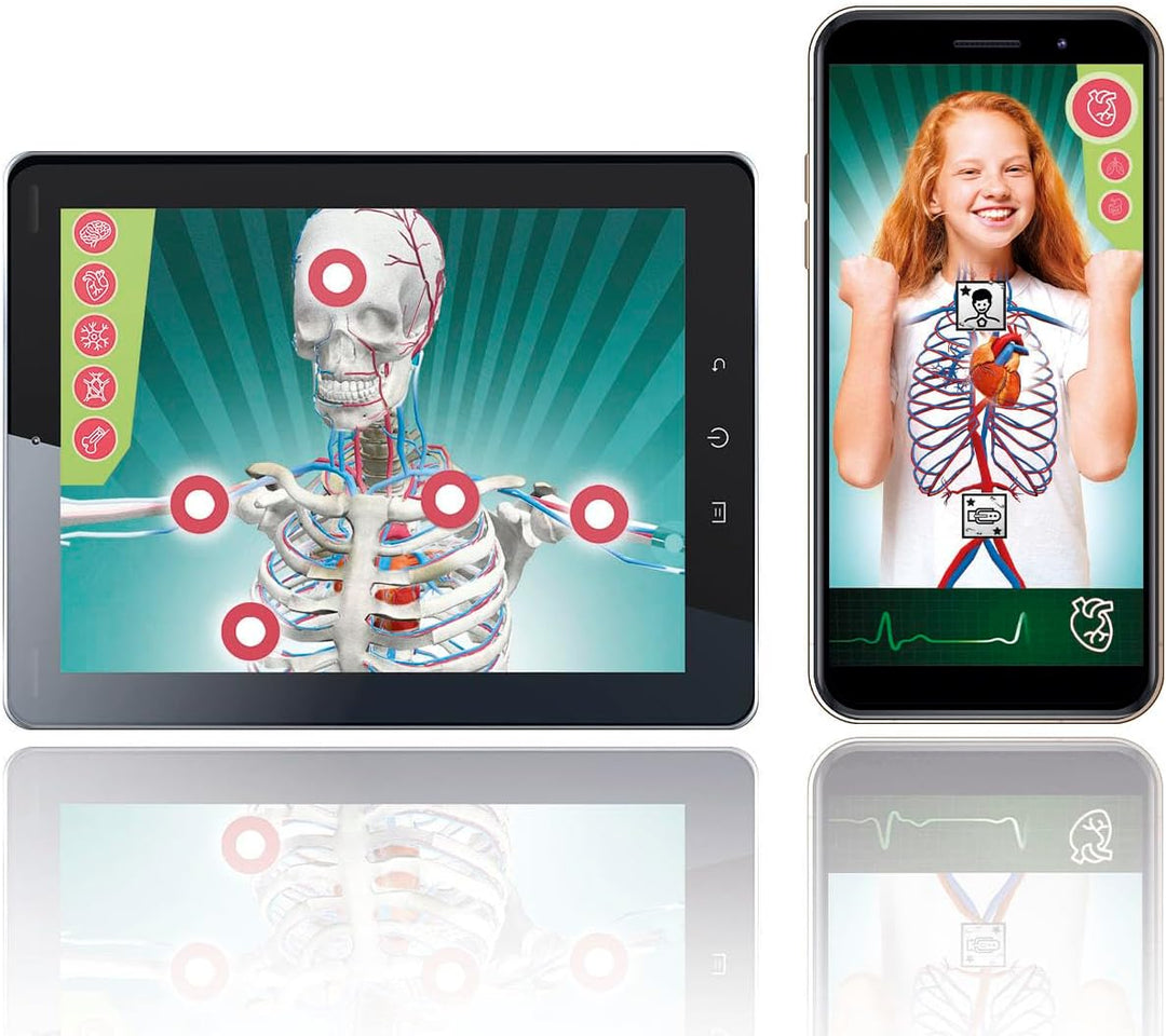 Juego Didáctico Anatomía Interactivo Niños