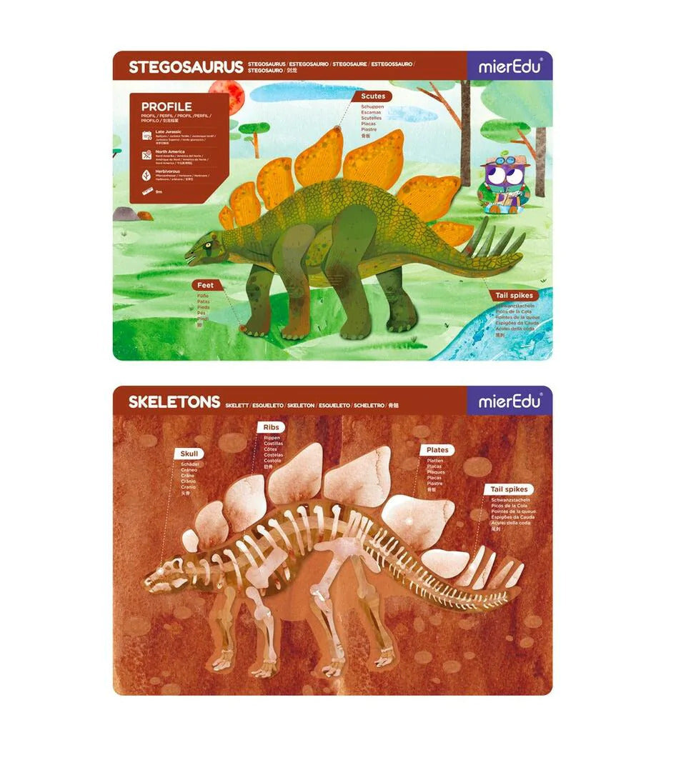 Juego Magnética Dino estegosaurio Para Niños