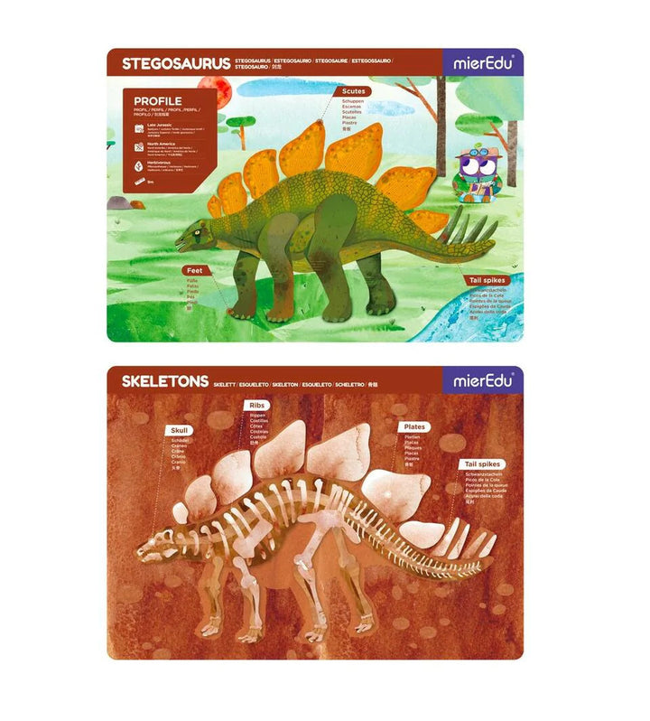 Juego Magnética Dino estegosaurio Para Niños