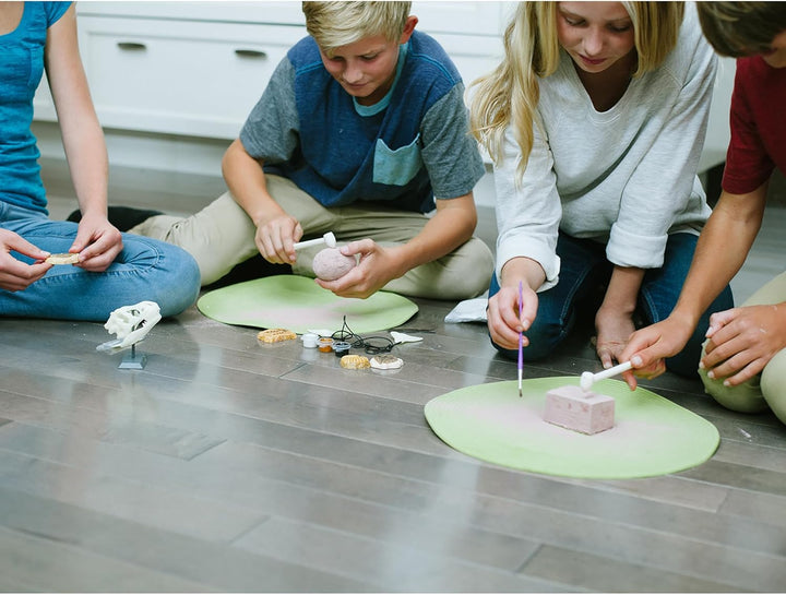 Juego Experimentó Diente De Tiburón Para Niños
