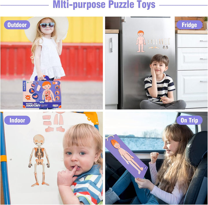 Juego Magnética Cuerpo Humano Para Niños