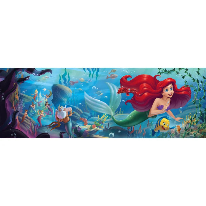 Rompecabezas 1000 Piezas Disney Princesa Panorama