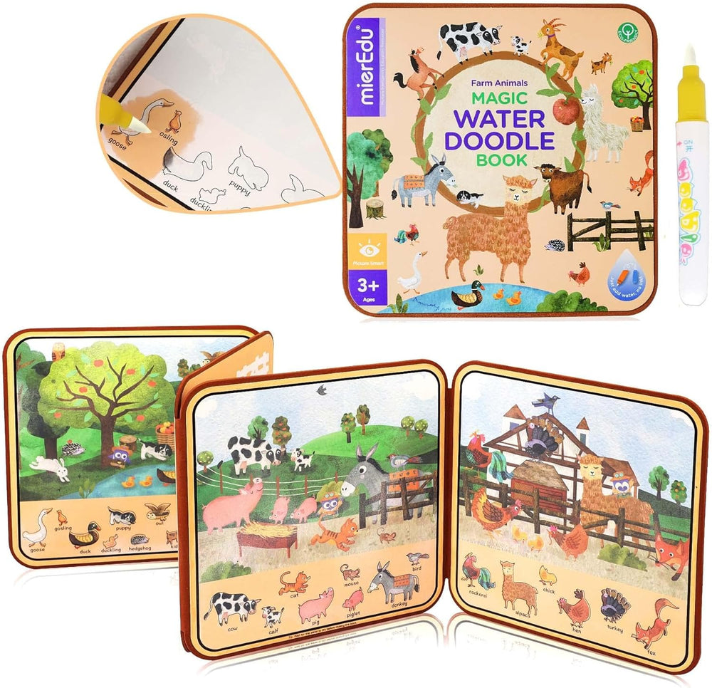 Libro Didáctico Borrable Con Agua Para Niños