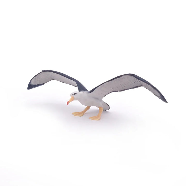 Figura Coleccionable Albatroz Pintado A Mano Papo Para Niños