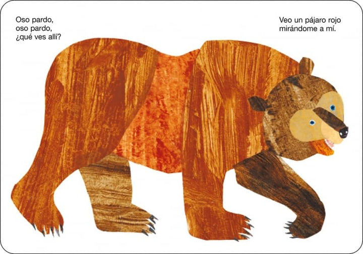 Libro Educativo Oso Pardo Para Niños