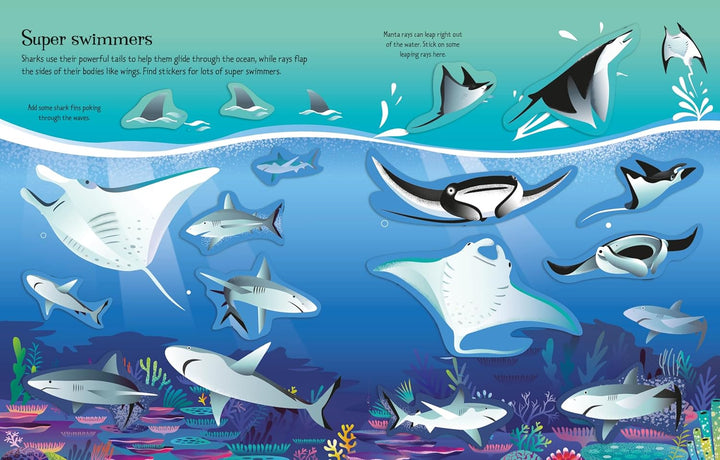 Libro Didáctico Primer Libro Pegatinas Tiburones Para Niños