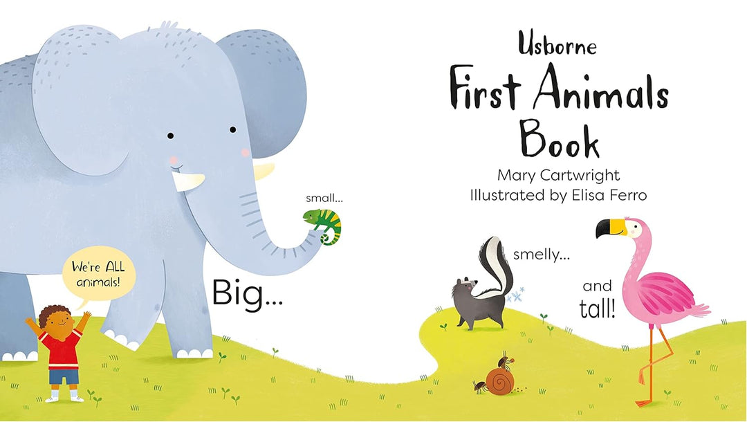 Libro Didáctico Primer Libro Sobre Animales Para Niños