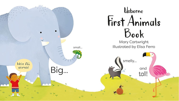 Libro Didáctico Primer Libro Sobre Animales Para Niños