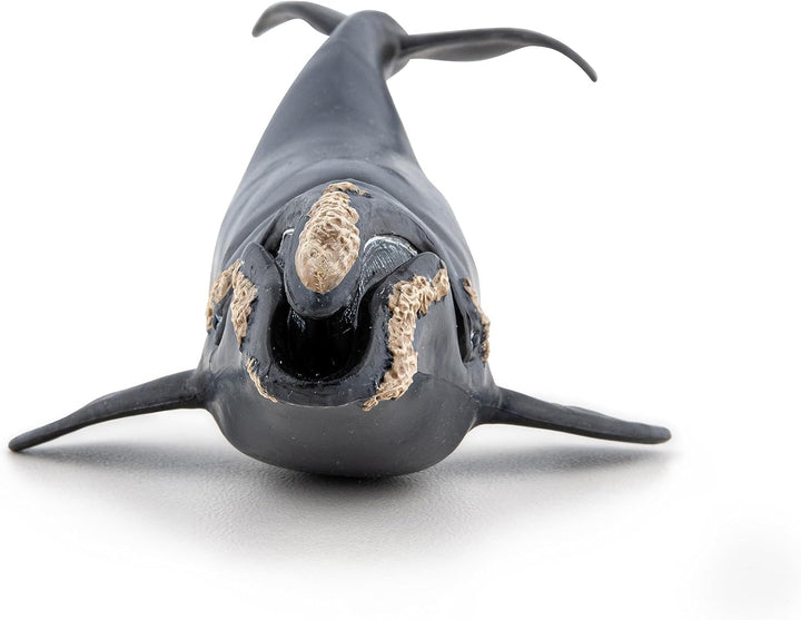 Figura Coleccionable Ballena Boreal Papo