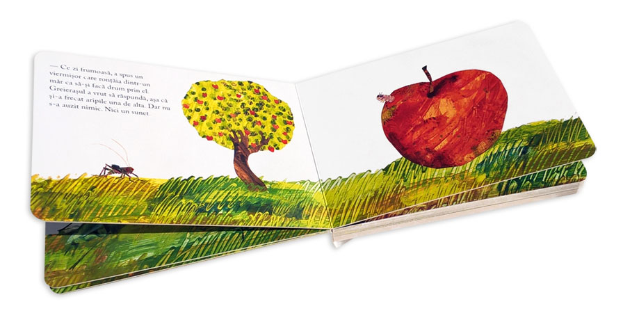 Libro El Grillo Silencioso De Eric Carle Niños