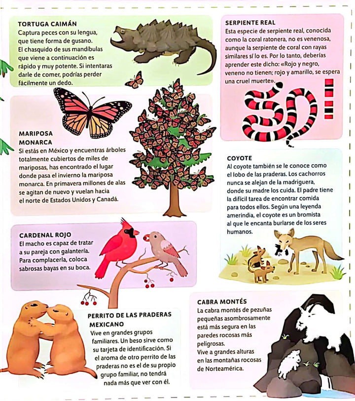Libro Infantil Atlas De Animales Niños