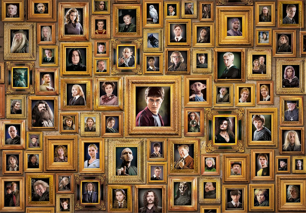 Rompecabezas 1000 Piezas Harry Potter