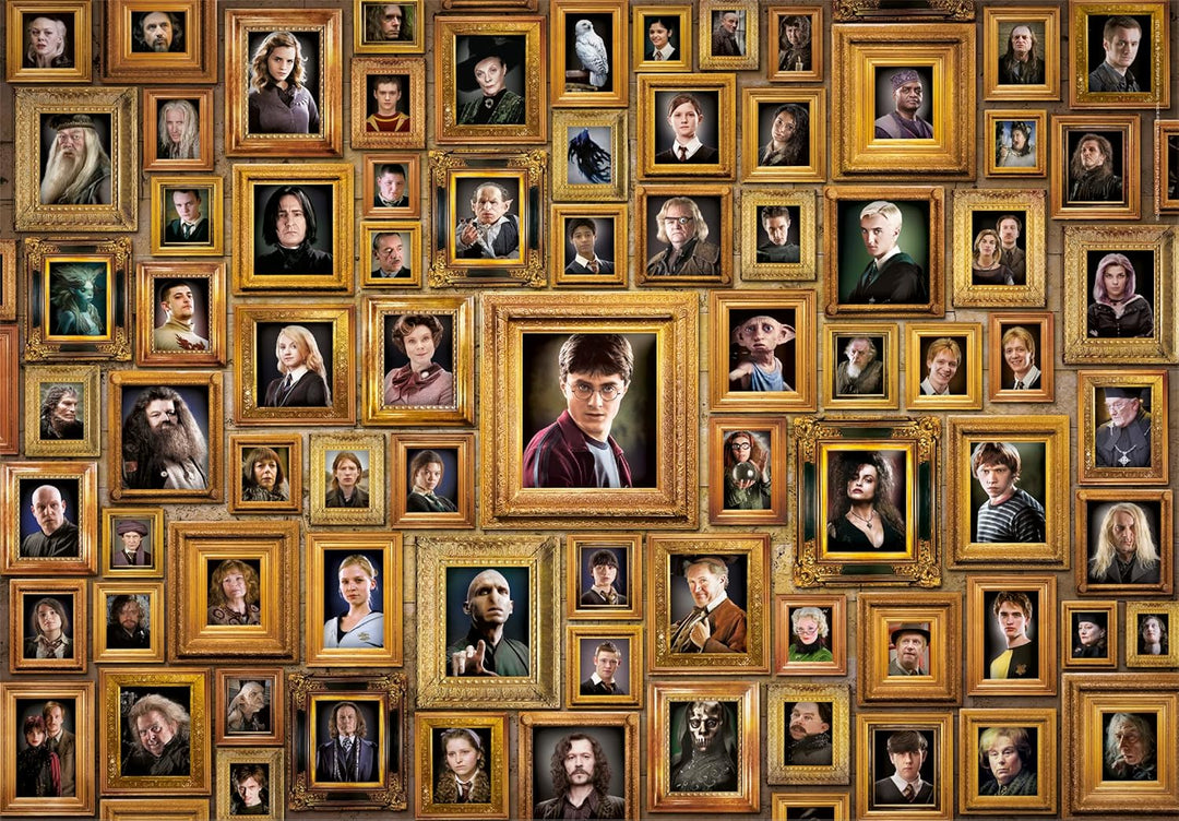 Rompecabezas 1000 Piezas Harry Potter