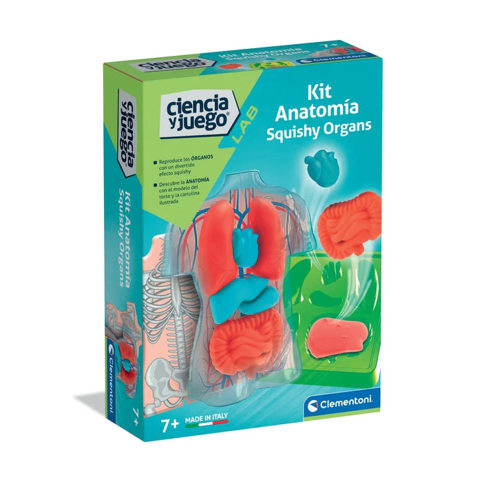 Juego Educativo Kit Anatomía Cuerpo Humano Para Niños