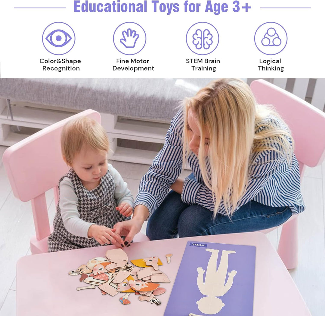 Juego Magnética Cuerpo Humano Para Niños
