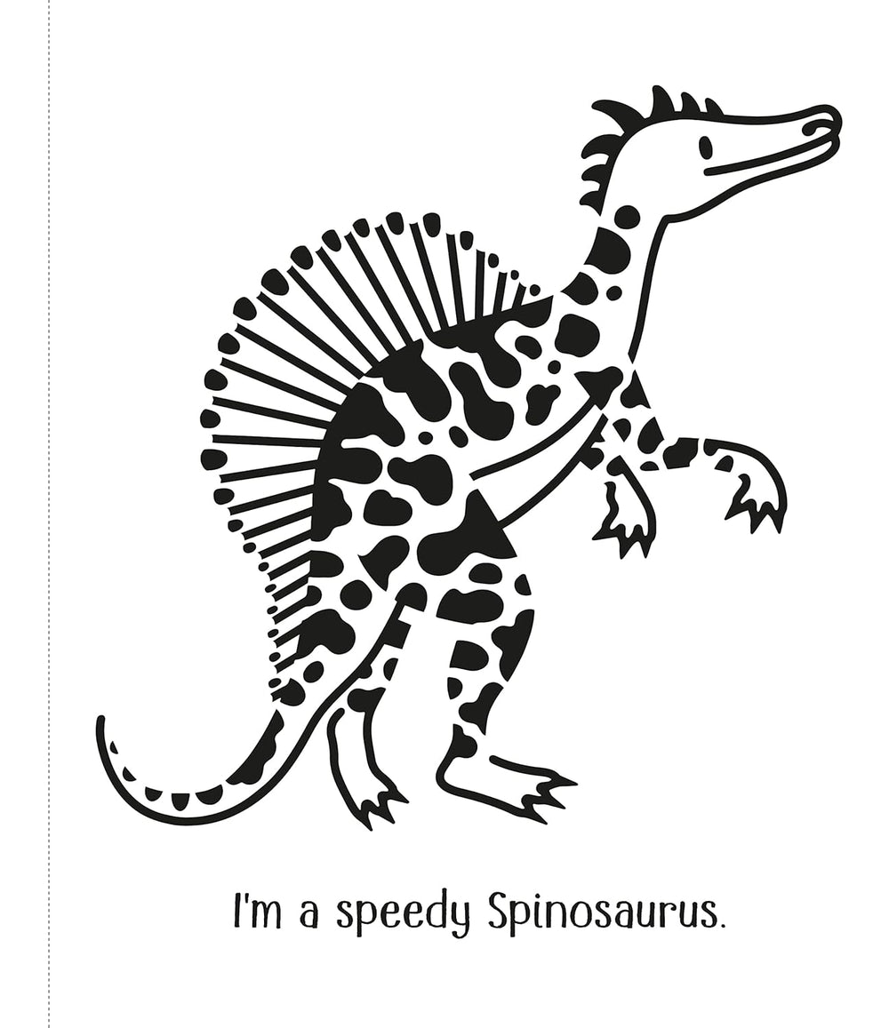 Libro Infantil dinosaurios Pinta Con Agua Niños