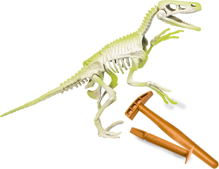 Juego Didáctico Fósiles De Velociraptor Niños