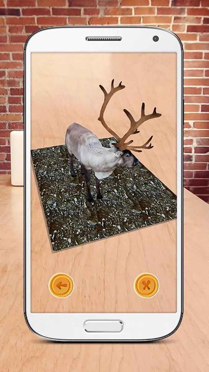 Juego De Mesa Animales Del Zoológico  Para Niños