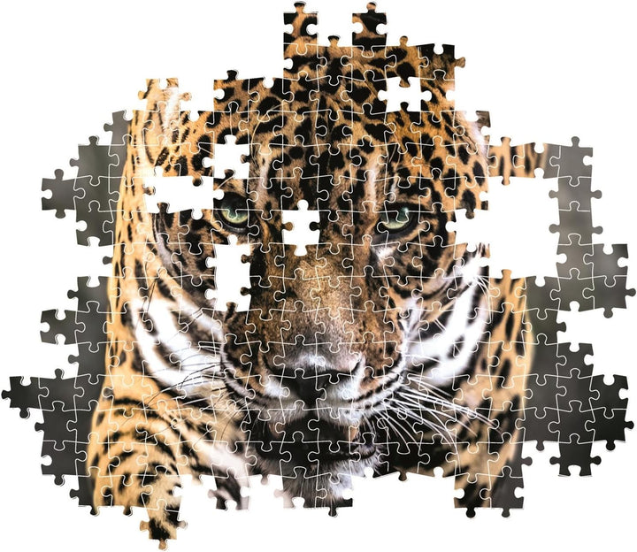 Rompecabezas 1000 Piezas Jaguar Salvaje