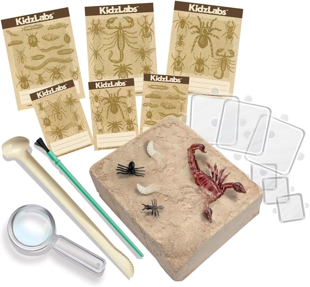 Juego Experimento Excavación Insectos
