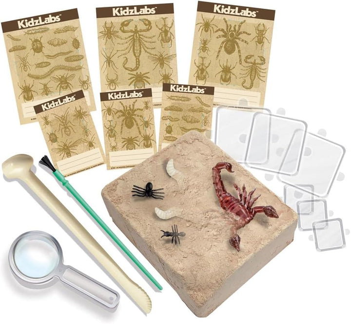 Juego Experimento Excavación Insectos