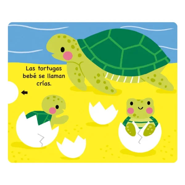 Libro Didáctico Ilustrados Animales Del Océano Para Niños