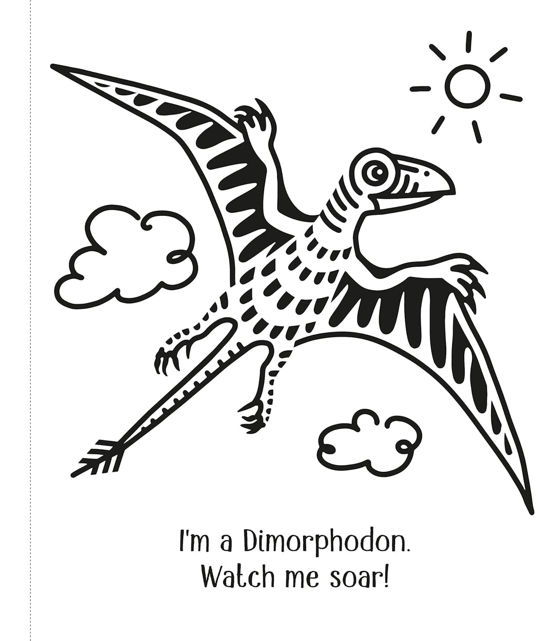 Libro Infantil dinosaurios Pinta Con Agua Niños