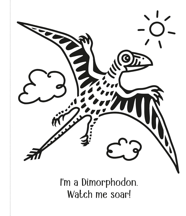 Libro Infantil dinosaurios Pinta Con Agua Niños