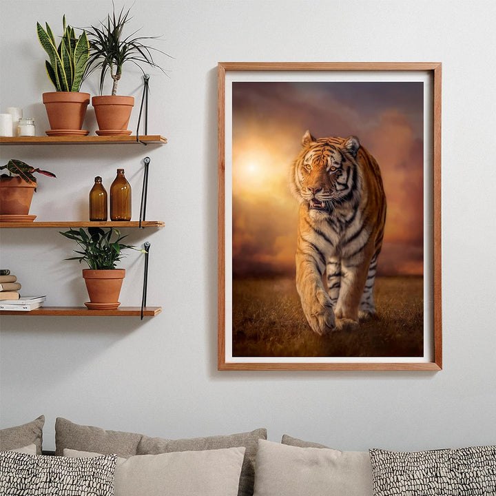 Rompecabezas  1000 Piezas Tigre Fotografia