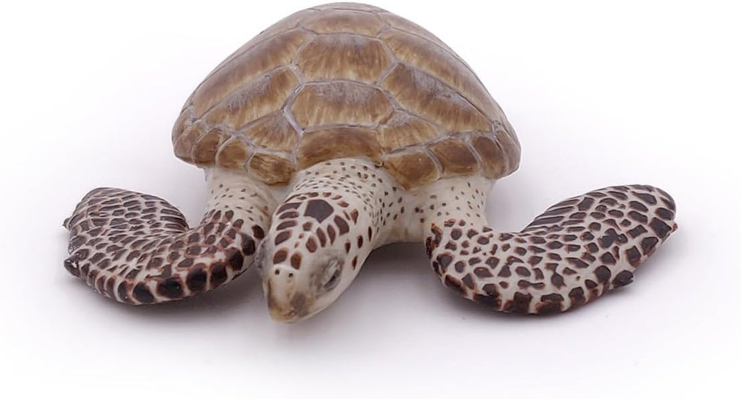 Figura Tortuga De Mar Pintada A Mano  Niños Adultos