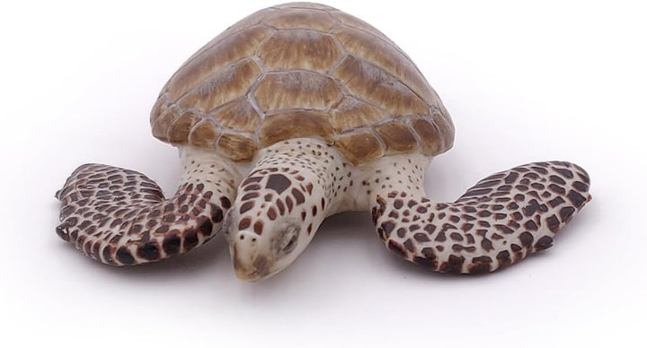 Figura Tortuga De Mar Pintada A Mano  Niños Adultos