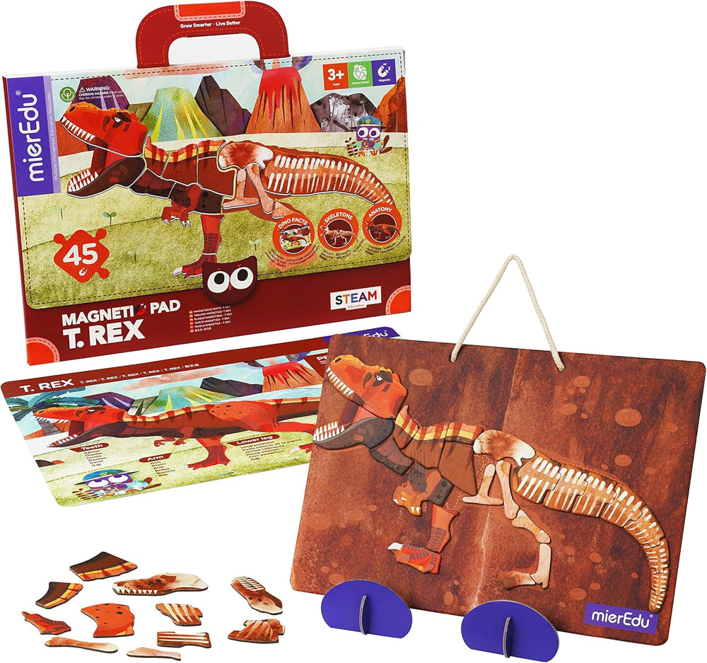 Juego Magnética tiranosaurio Rex Para Niños