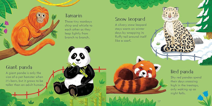Juego Y Libro Didáctico Memoria Animales Del Zoológico Niños