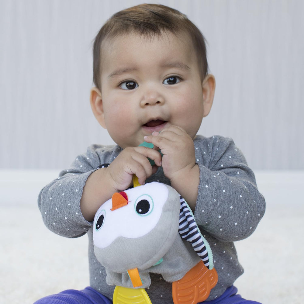 Juguete Pingüino Texturas Y Mordedor Bebés