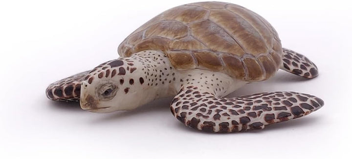 Figura Tortuga De Mar Pintada A Mano  Niños Adultos