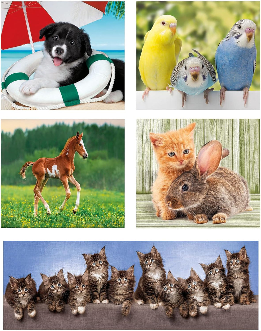 Rompecabezas 10 En 1 Animales Tiernos Para Niños