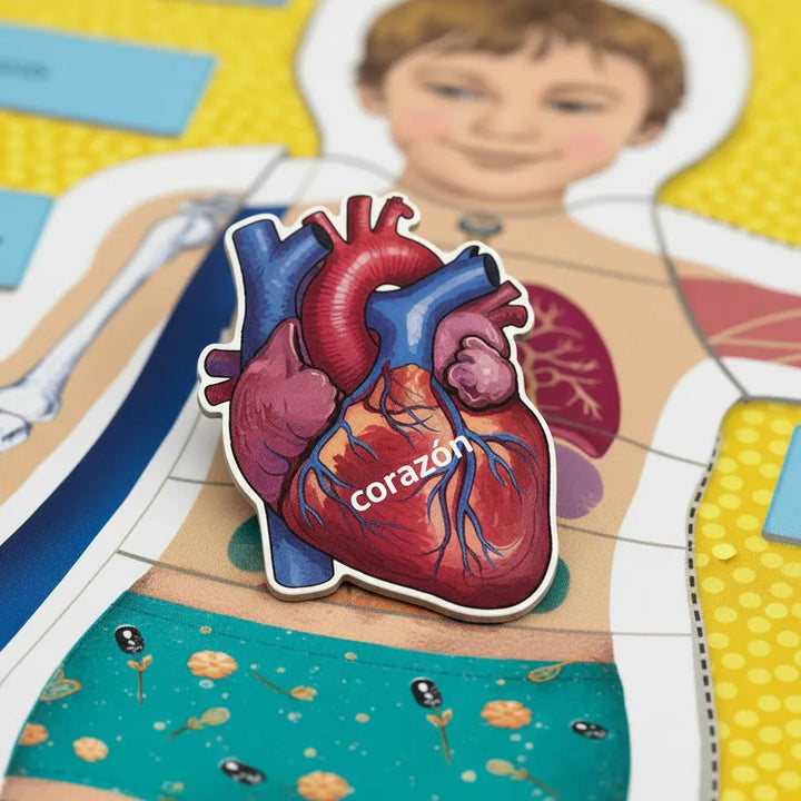 Juego Montessori El Cuerpo Humano Para Niños