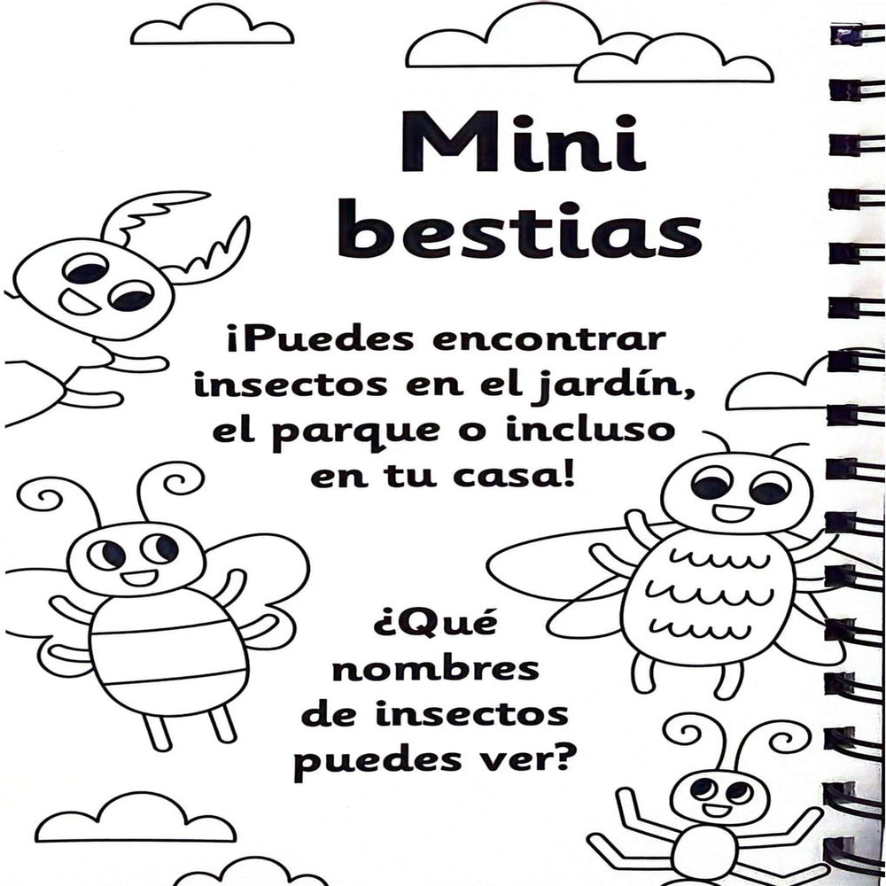 Libro Mis Primeras Palabras Pintar Con Agua Niños
