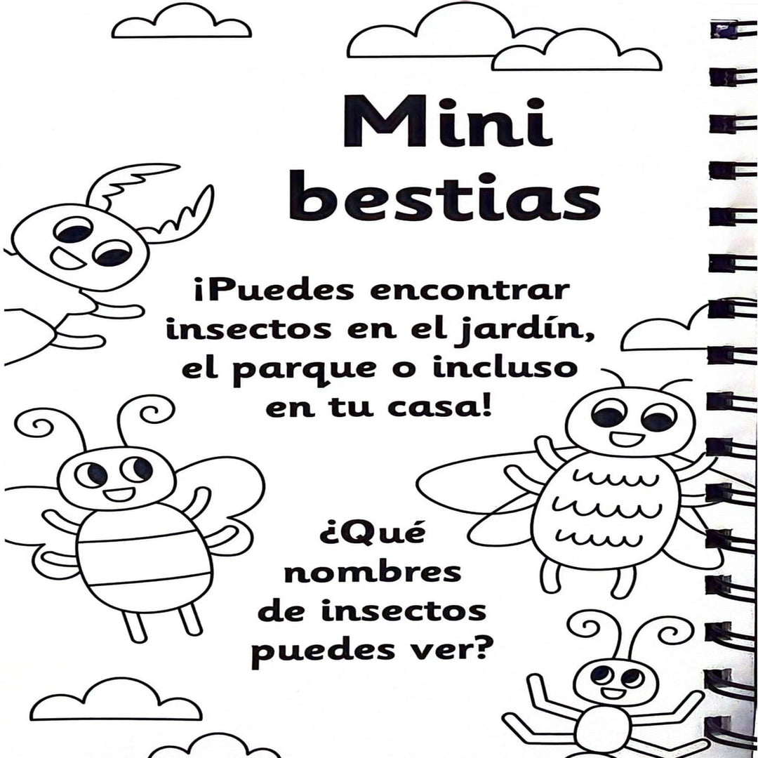 Libro Mis Primeras Palabras Pintar Con Agua Niños