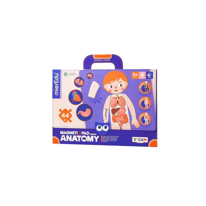 Juego Magnética Cuerpo Humano Para Niños