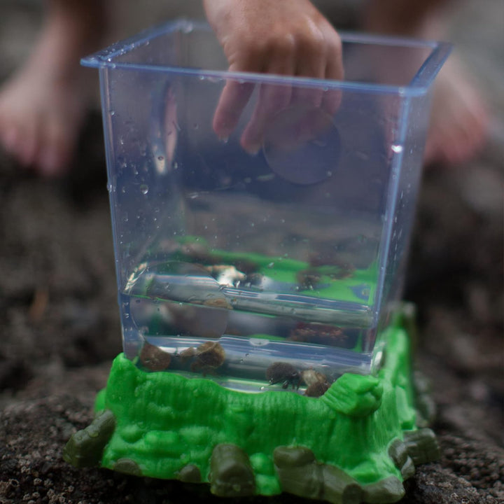 Juguete Educativo Observatorio De Insectos Para Niños
