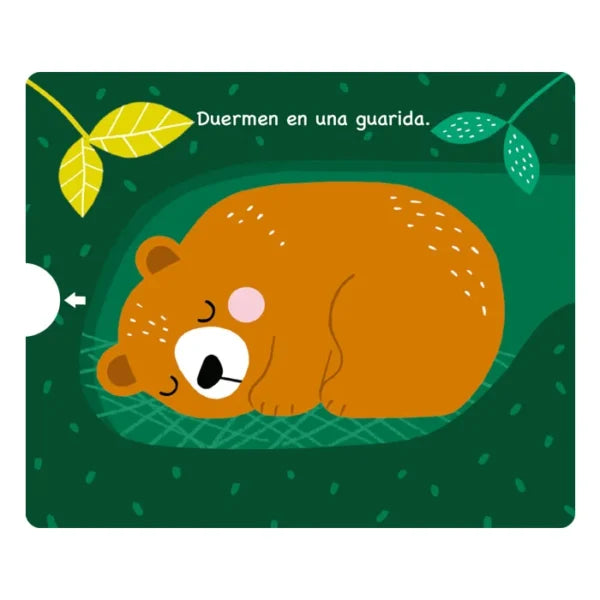 Libro Didáctico Ilustrados Animales Del Bosque Para Niños