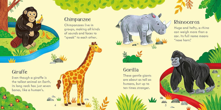 Juego Y Libro Didáctico Memoria Animales Del Zoológico Niños