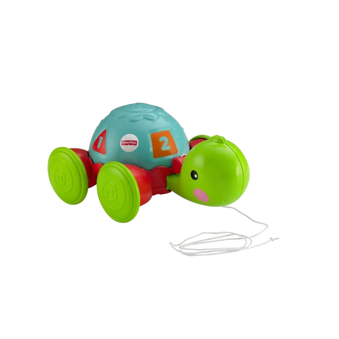 Juguete Estimulación Tortuga Para Bebés